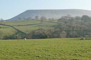 Cross Lane Caravan Park